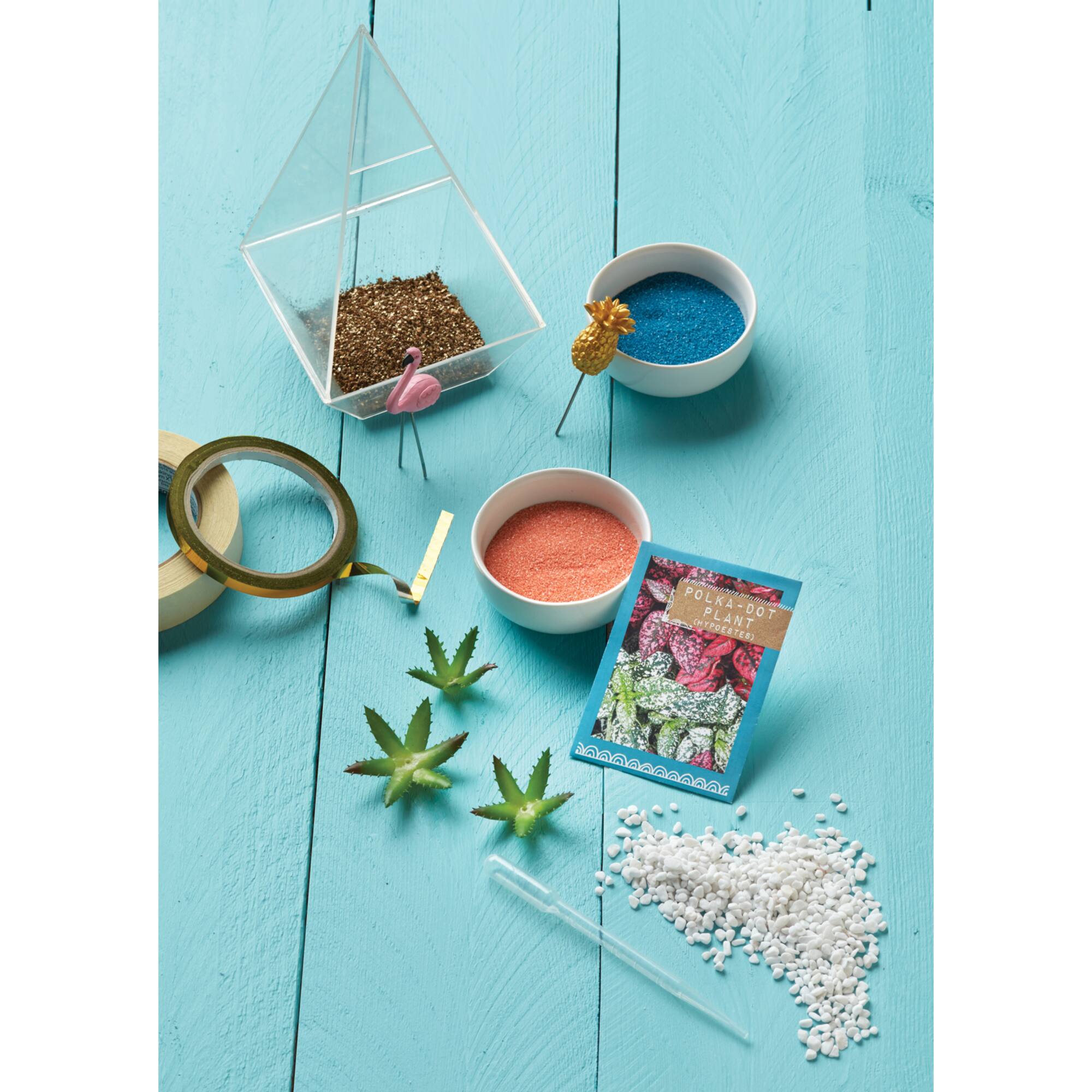 Faber-Castell Craftivity Tropical Terrarium